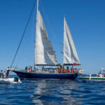 El velero Madleen, parte de la Flotilla de la Libertad de Gaza partiendo de Catania, Sicilia el 1 de junio de 2025