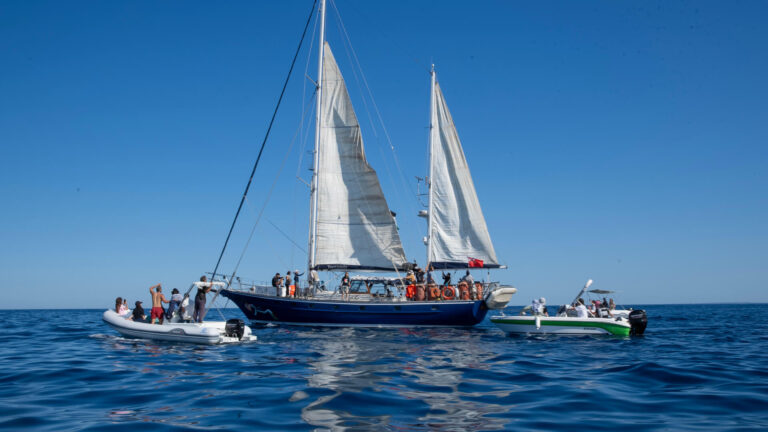 El velero Madleen, parte de la Flotilla de la Libertad de Gaza partiendo de Catania, Sicilia el 1 de junio de 2025