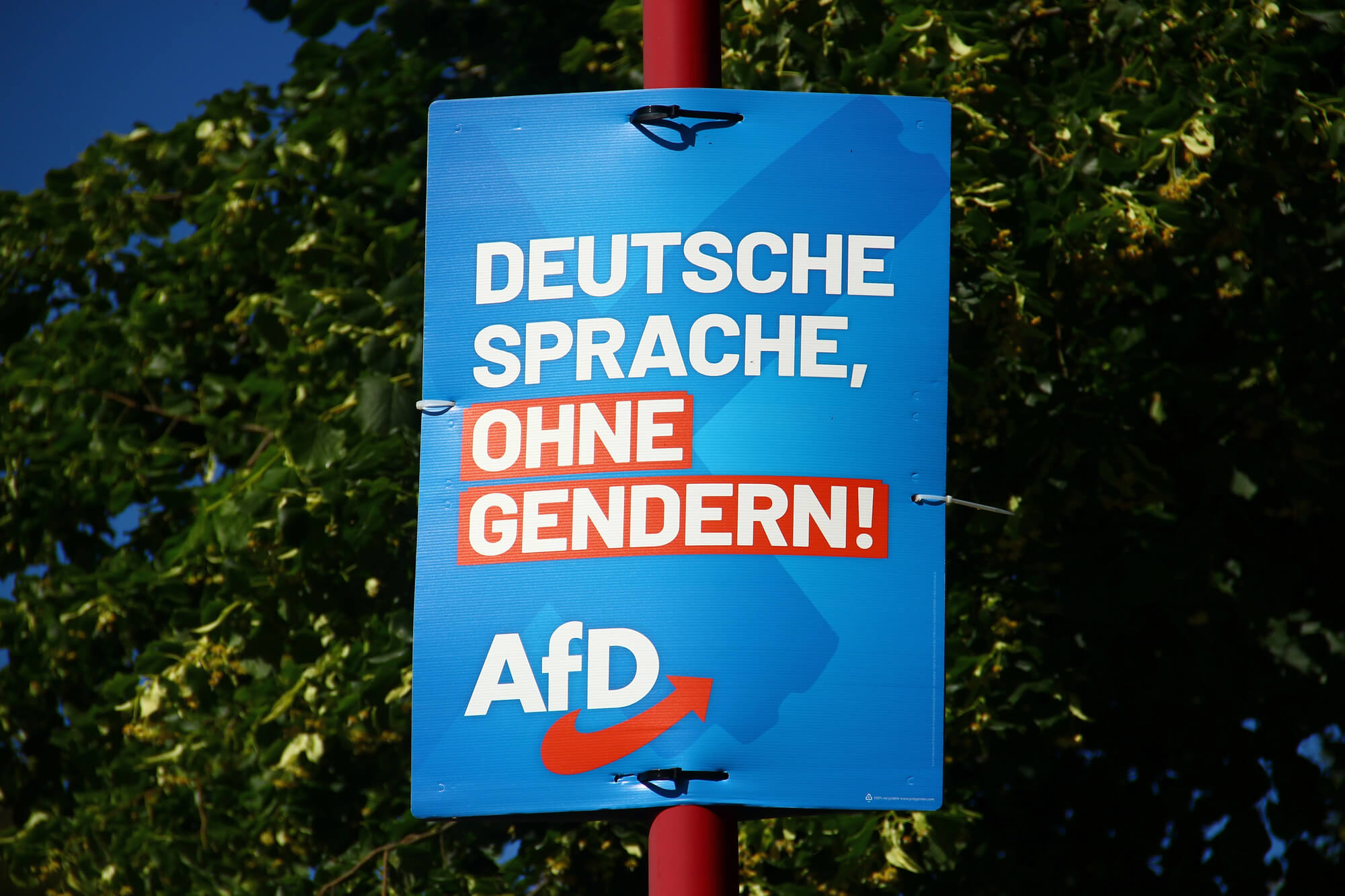 Las elecciones en Sajonia-Anhalt pueden convertir a AfD en el primer partido de extrema derecha en gobernar un estado alemán en solitario.