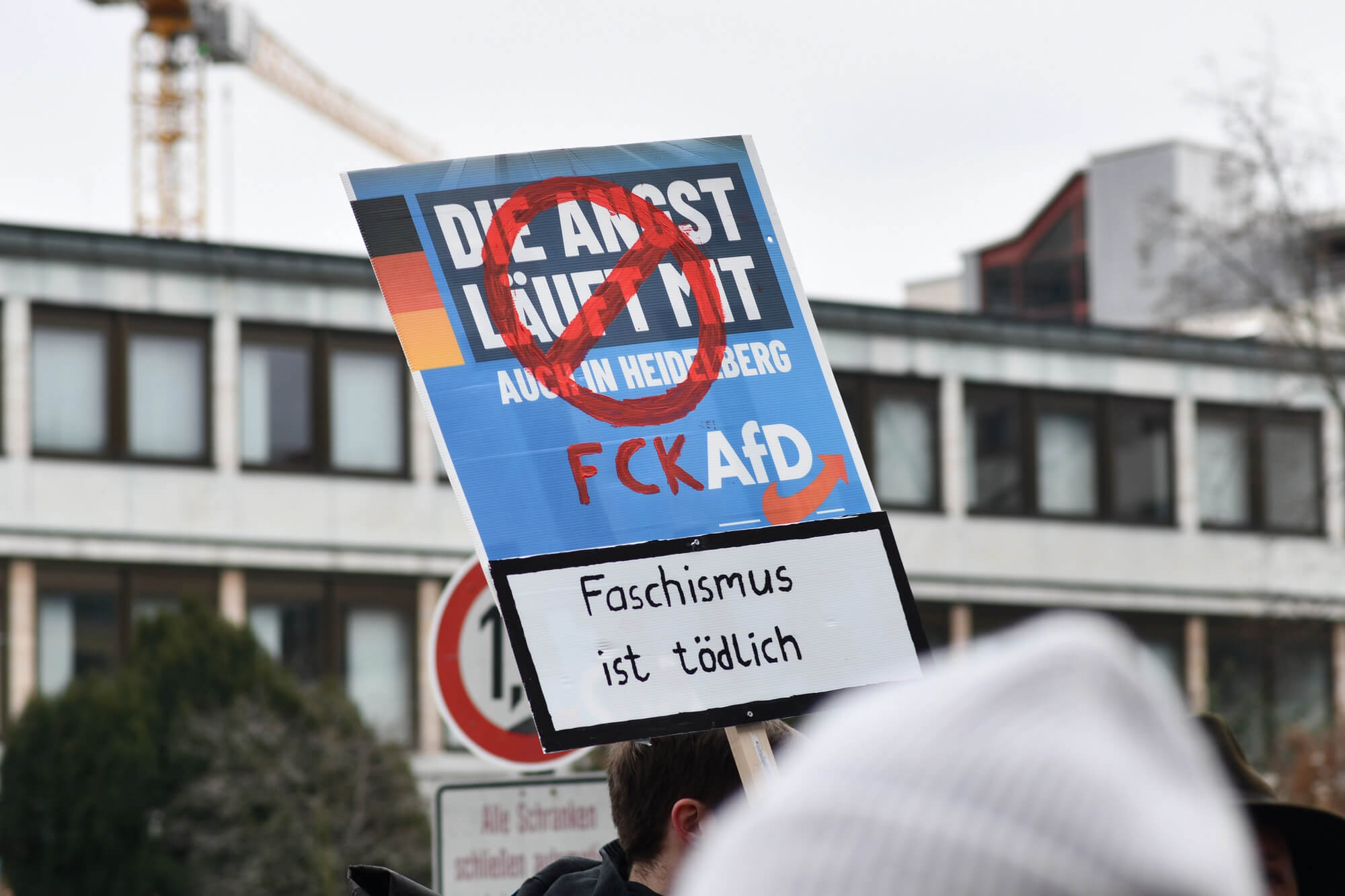 Protesta organizada en Heidelberg contra Alternativa para Alemania (AfD), el principal partido de extrema derecha en el país.